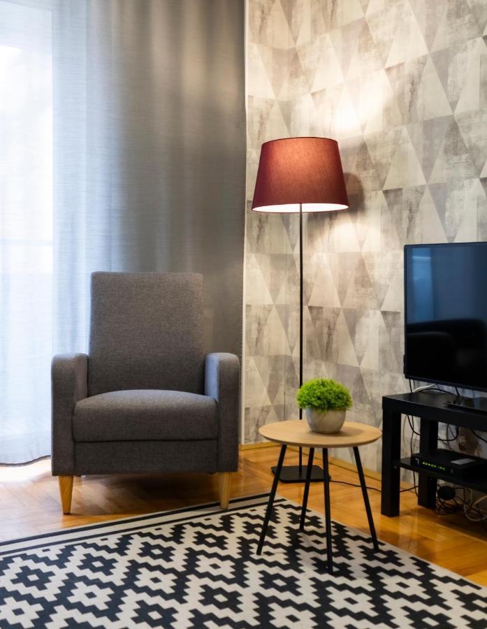 Central Fenix Apartment - Free Private Parking-Fast Wi-Fi Novi Sad Buitenkant foto