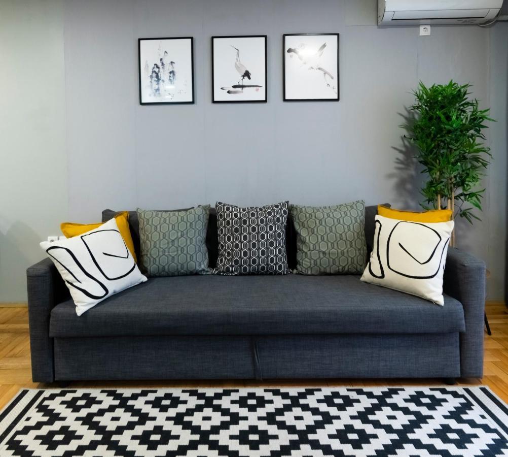 Central Fenix Apartment - Free Private Parking-Fast Wi-Fi Novi Sad Buitenkant foto