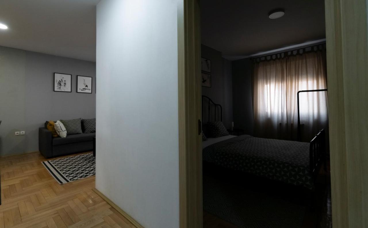 Central Fenix Apartment - Free Private Parking-Fast Wi-Fi Novi Sad Buitenkant foto
